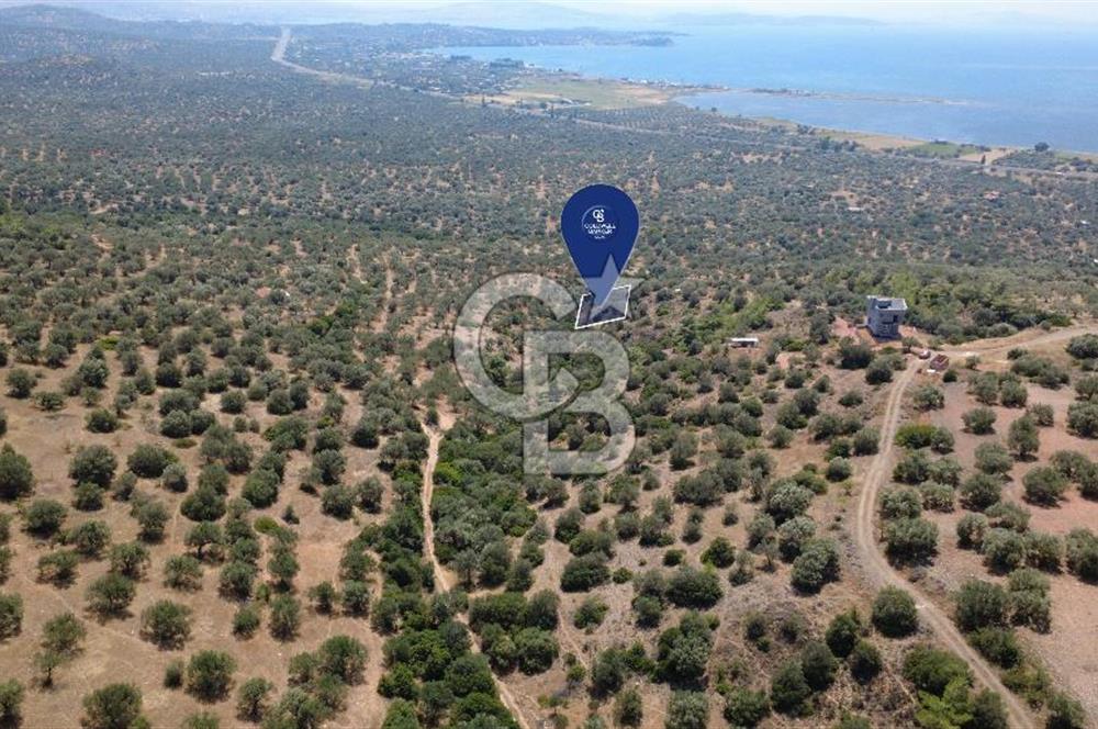 BERGAMA ZEYTİNDAĞDA DENİZ MANZARALI 15/30 İMARLI ARSA