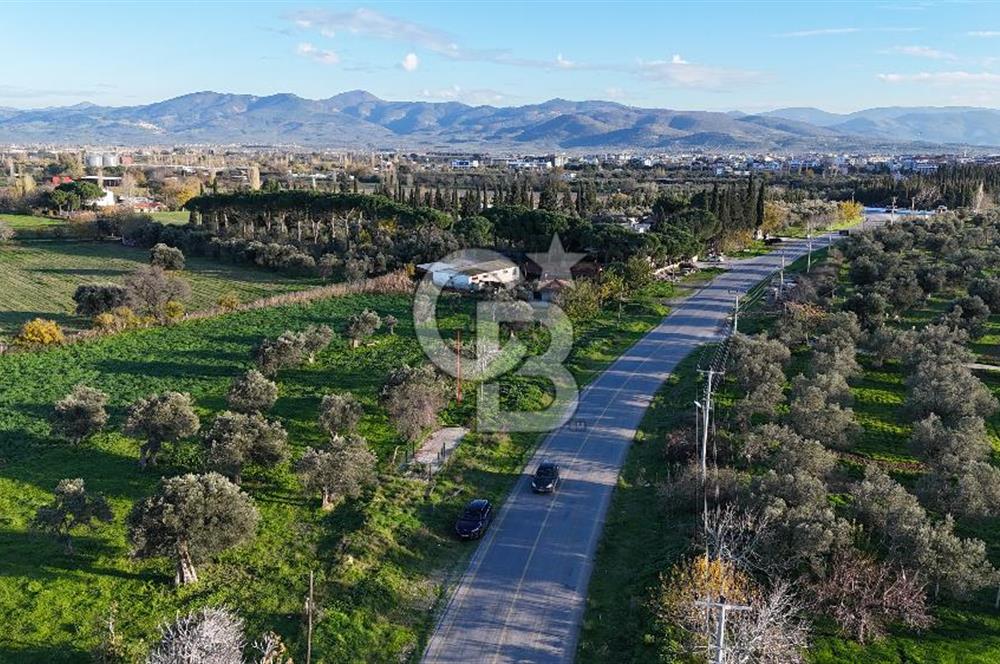 BALIKESİR BURHANİYE'DE SATILIK JEOTERMAL İŞLETME RUHSATI