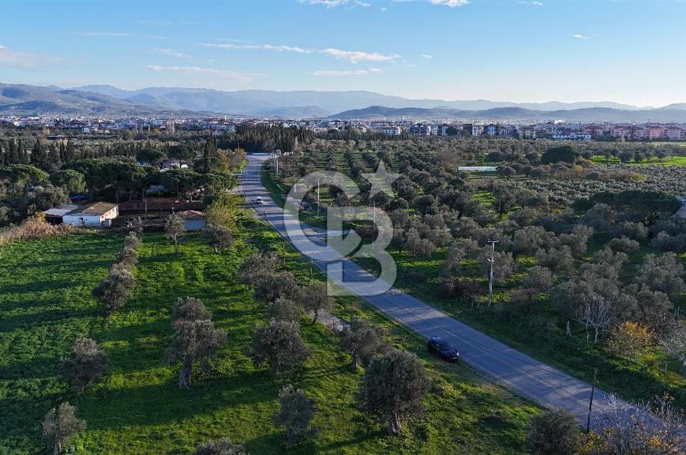 BALIKESİR BURHANİYE'DE SATILIK JEOTERMAL İŞLETME RUHSATI