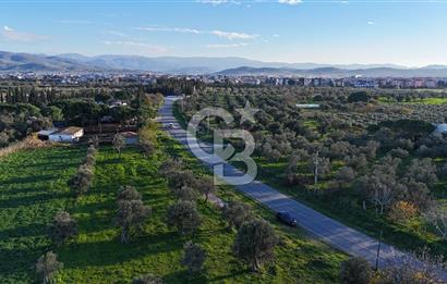 BALIKESİR BURHANİYE'DE SATILIK JEOTERMAL İŞLETME RUHSATI