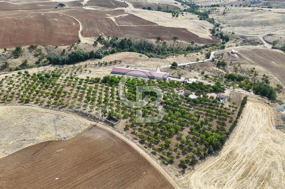 KIRIKKALE KESKİN' de 50 DÖNÜM TEK TAPU SATILIK HAZIR ÇİFTLİK