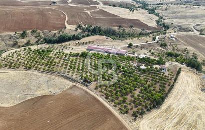 KIRIKKALE KESKİN' de 50 DÖNÜM TEK TAPU SATILIK HAZIR ÇİFTLİK