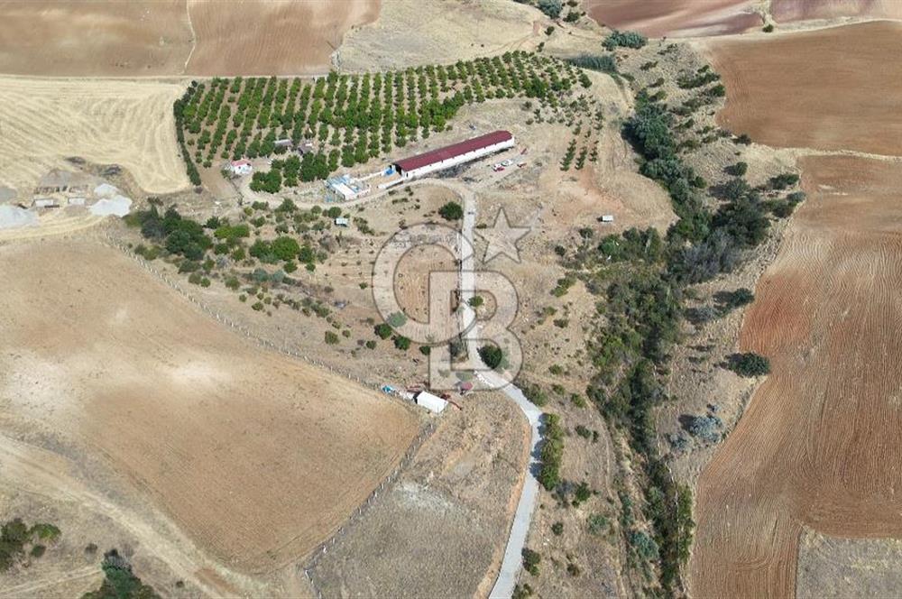 KIRIKKALE KESKİN' de 50 DÖNÜM TEK TAPU SATILIK HAZIR ÇİFTLİK