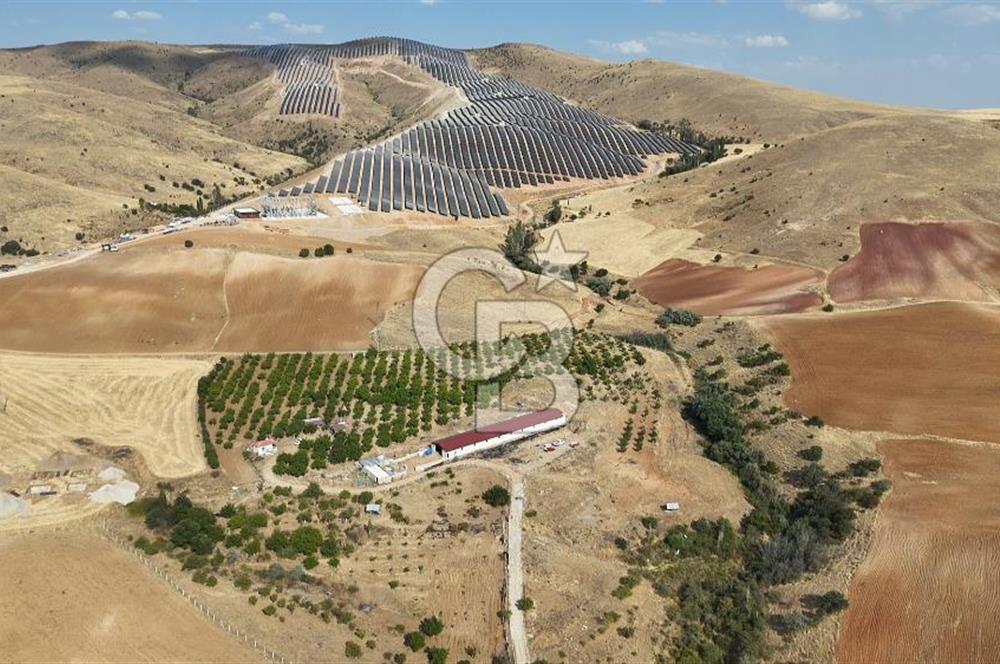 KIRIKKALE KESKİN' de 50 DÖNÜM TEK TAPU SATILIK HAZIR ÇİFTLİK