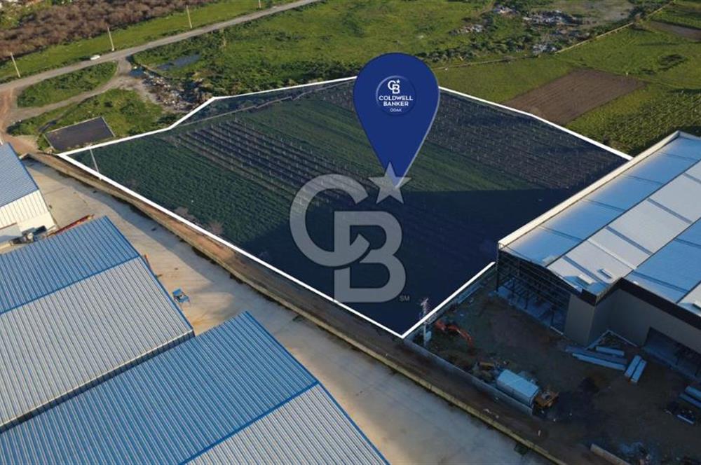 MENEMEN TÜRKELLİ'DE SATIILIK 15,300M2 TARIMSAL SANAYİ İMARLI
