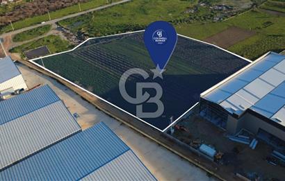 MENEMEN TÜRKELLİ'DE SATIILIK 15,300M2 TARIMSAL SANAYİ İMARLI