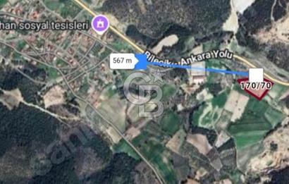 GÖLPAZARI YENİPAZAR ANAYOLUNA CEPHELİ KÖY MÜCAVİR ALANINA 9670 M2