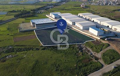MENEMEN TÜRKELLİ'DE SATIILIK 15,300M2 TARIMSAL SANAYİ İMARLI