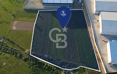 MENEMEN TÜRKELLİ'DE SATIILIK 15,300M2 TARIMSAL SANAYİ İMARLI