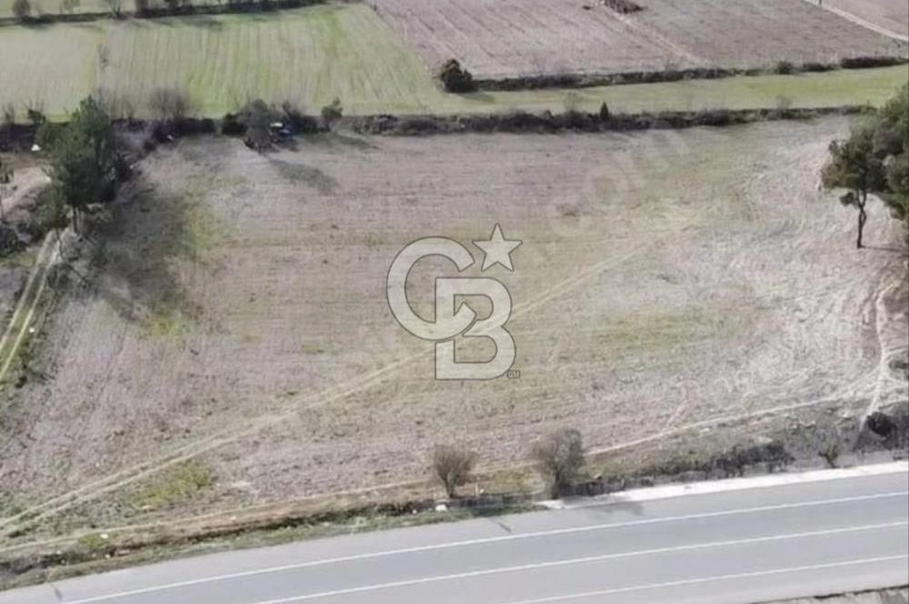 GÖLPAZARI YENİPAZAR ANAYOLUNA CEPHELİ KÖY MÜCAVİR ALANINA 9670 M2