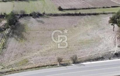 GÖLPAZARI YENİPAZAR ANAYOLUNA CEPHELİ KÖY MÜCAVİR ALANINA 9670 M2