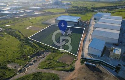 MENEMEN TÜRKELLİ'DE SATIILIK 15,300M2 TARIMSAL SANAYİ İMARLI