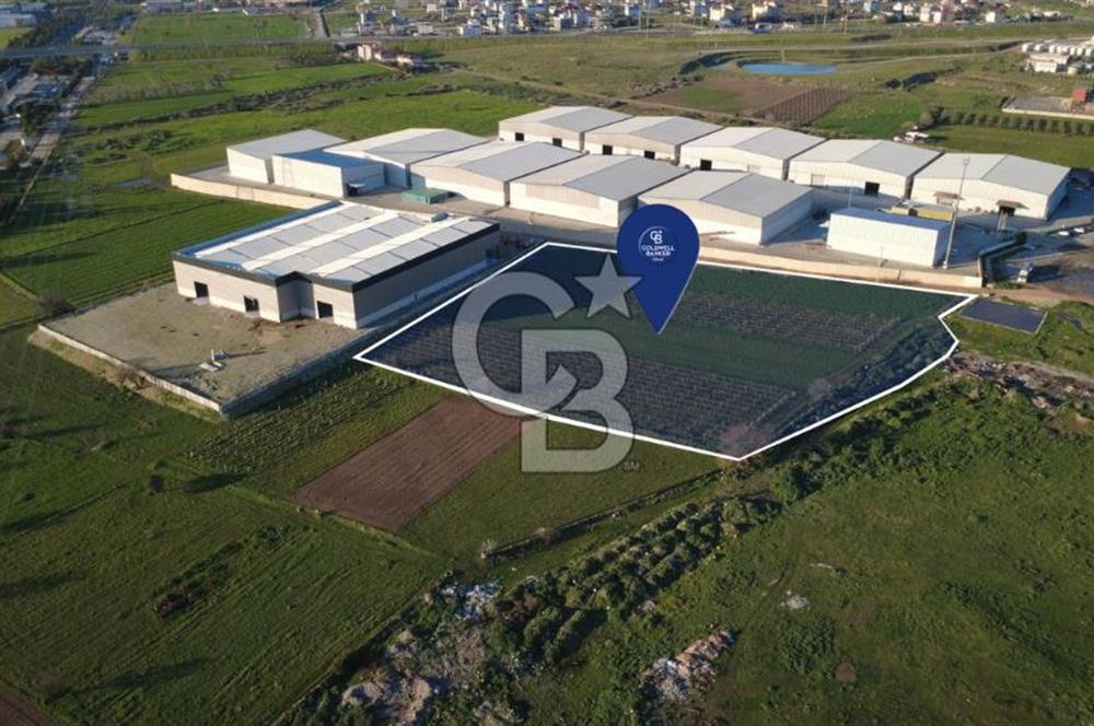 MENEMEN TÜRKELLİ'DE SATIILIK 15,300M2 TARIMSAL SANAYİ İMARLI