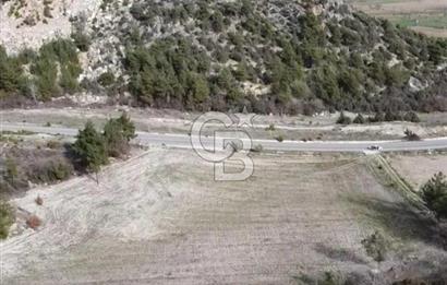 GÖLPAZARI YENİPAZAR ANAYOLUNA CEPHELİ KÖY MÜCAVİR ALANINA 9670 M2