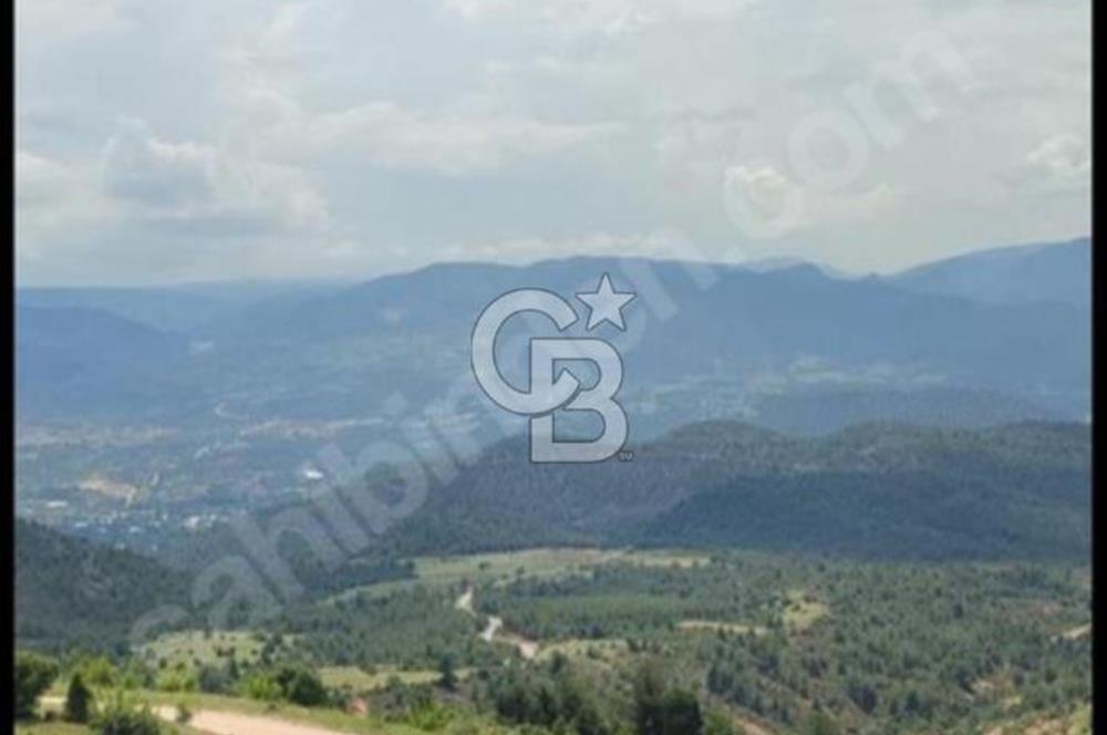KÖY ÜSTÜ EMSALSİZ DOĞA MANZARALI 88 METRE RESMİ YOLA CEPHELİ