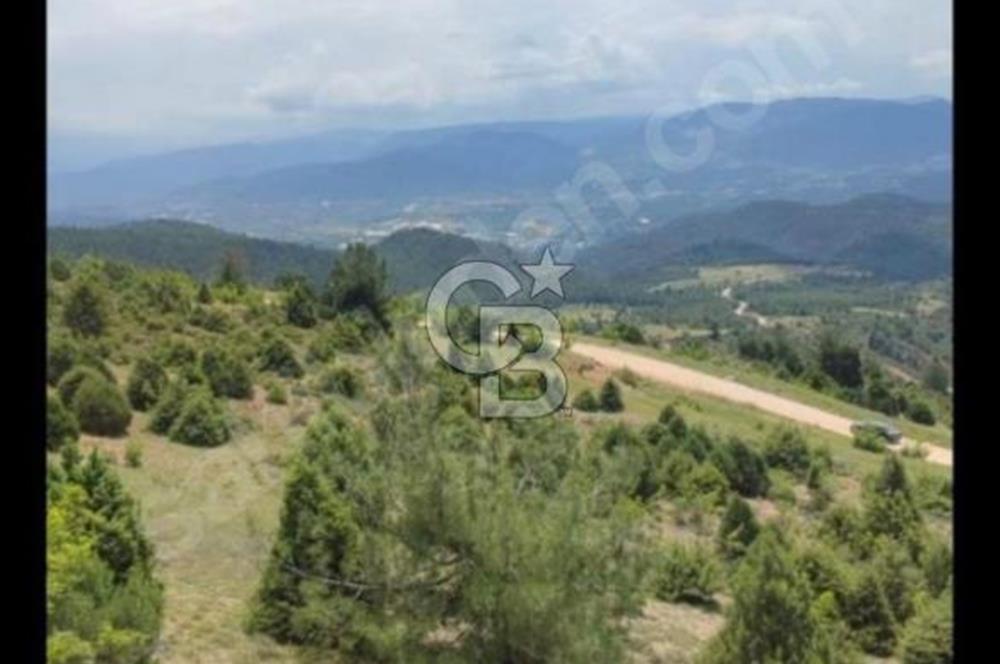 KÖY ÜSTÜ EMSALSİZ DOĞA MANZARALI 88 METRE RESMİ YOLA CEPHELİ