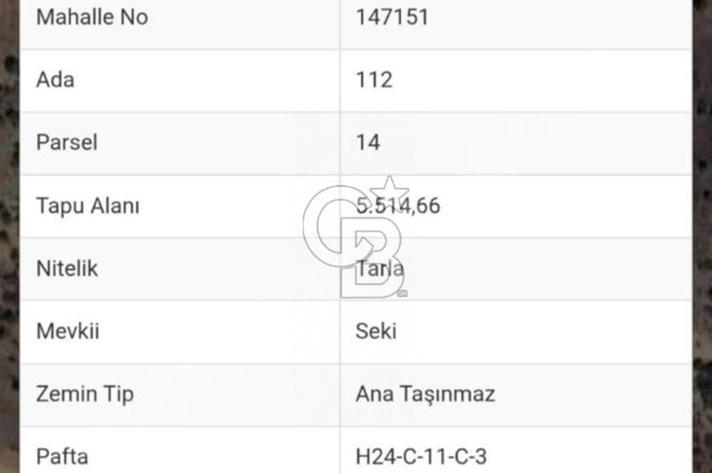 KÖY ÜSTÜ EMSALSİZ DOĞA MANZARALI 88 METRE RESMİ YOLA CEPHELİ