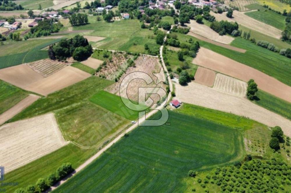 82 metre resmi yola cepheli konut imarına sınır resmi %5 imar