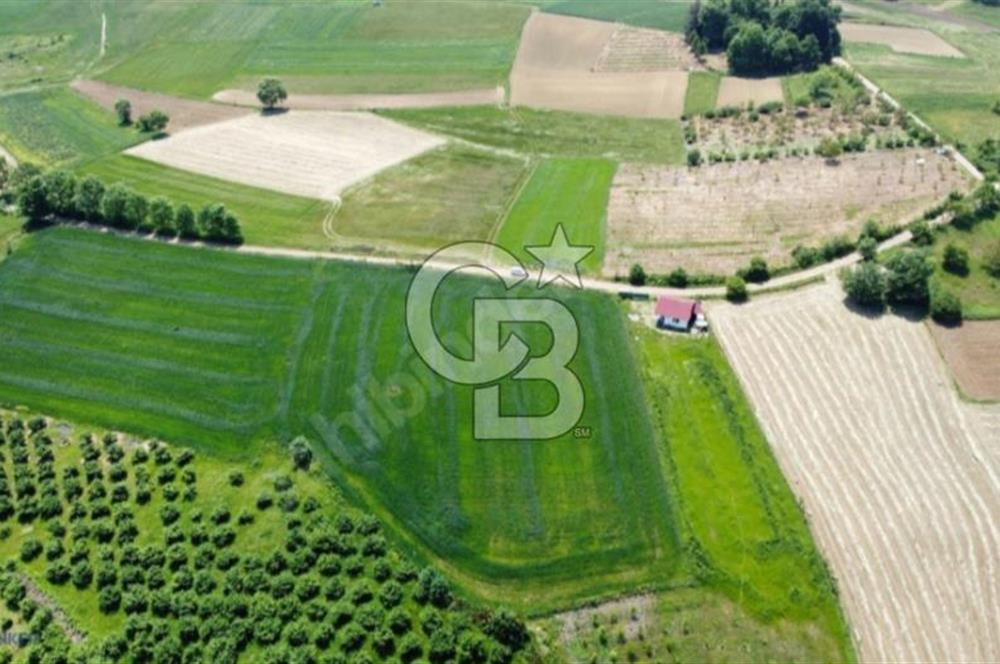 82 metre resmi yola cepheli konut imarına sınır resmi %5 imar
