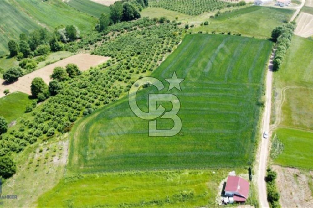 82 metre resmi yola cepheli konut imarına sınır resmi %5 imar
