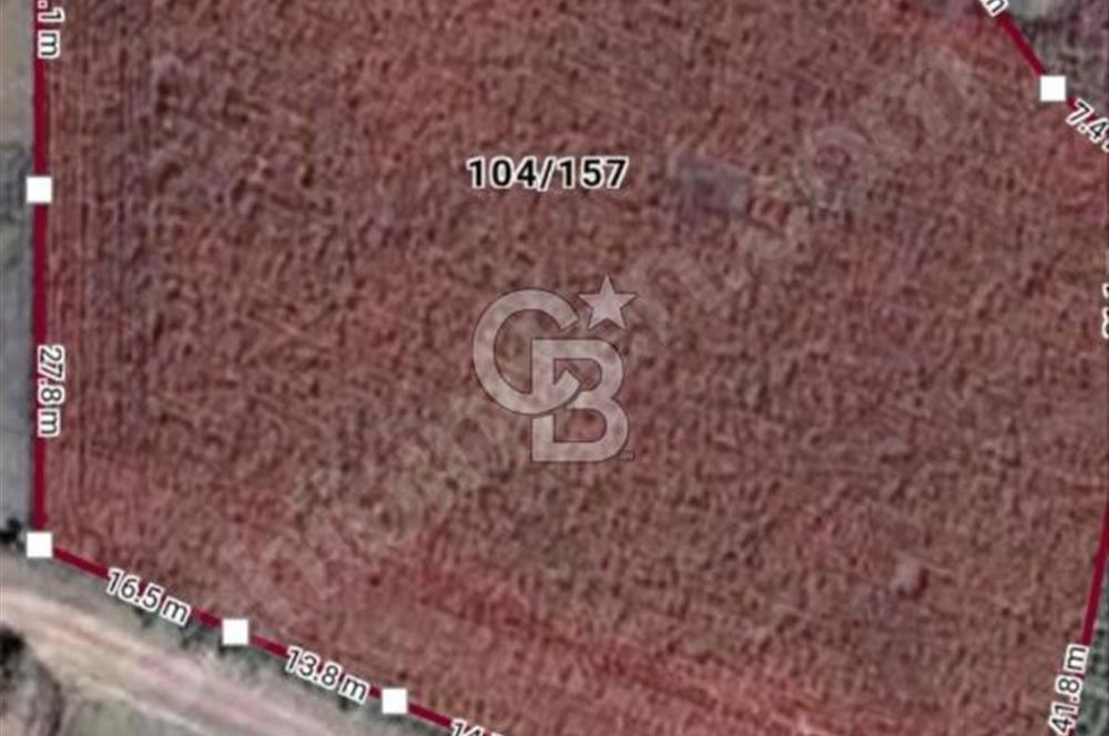 82 metre resmi yola cepheli konut imarına sınır resmi %5 imar