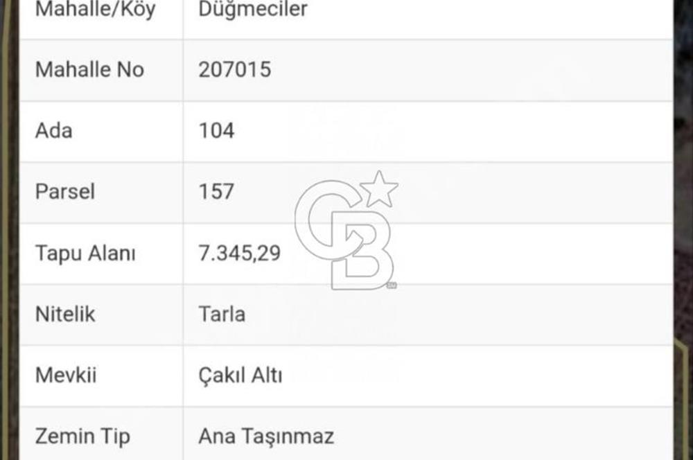 82 metre resmi yola cepheli konut imarına sınır resmi %5 imar
