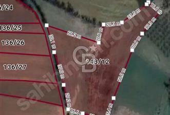 ORGANİZEYE 2,5 KM 93 METRE RESMİ YOLA CEPHELİ YÜKSEK DÖNÜM - 3 - 370253