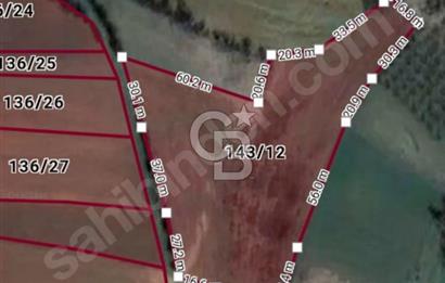 ORGANİZEYE 2,5 KM 93 METRE RESMİ YOLA CEPHELİ YÜKSEK DÖNÜM