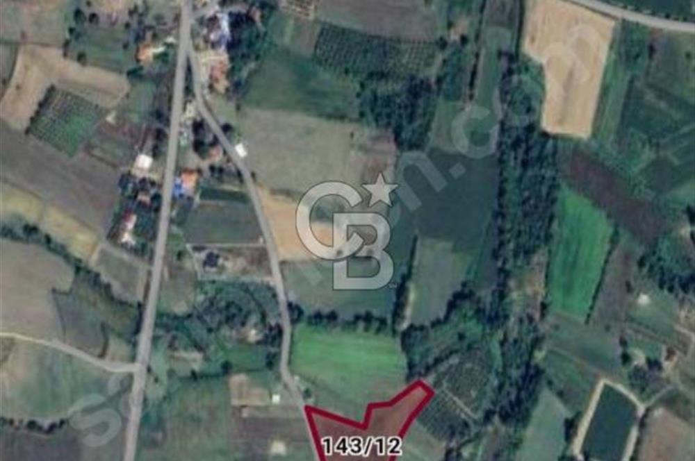ORGANİZEYE 2,5 KM 93 METRE RESMİ YOLA CEPHELİ YÜKSEK DÖNÜM