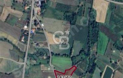 ORGANİZEYE 2,5 KM 93 METRE RESMİ YOLA CEPHELİ YÜKSEK DÖNÜM