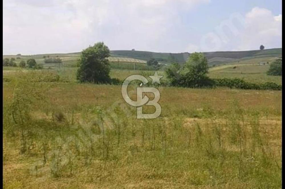 ORGANİZEYE 2,5 KM 93 METRE RESMİ YOLA CEPHELİ YÜKSEK DÖNÜM