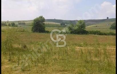 ORGANİZEYE 2,5 KM 93 METRE RESMİ YOLA CEPHELİ YÜKSEK DÖNÜM