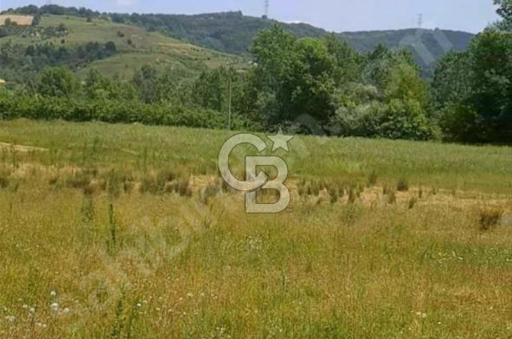 ORGANİZEYE 2,5 KM 93 METRE RESMİ YOLA CEPHELİ YÜKSEK DÖNÜM