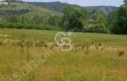 ORGANİZEYE 2,5 KM 93 METRE RESMİ YOLA CEPHELİ YÜKSEK DÖNÜM