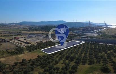 ALİAĞA SAMURLU MAH.SATILIK 10.000 M² DEPO İMARLI ARAZİ