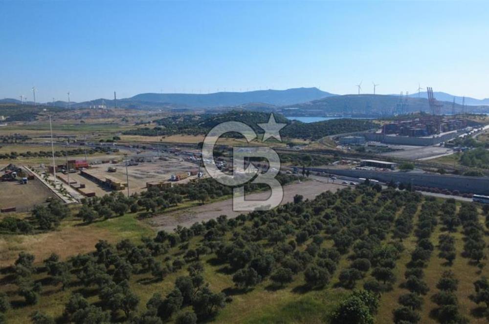ALİAĞA SAMURLU MAH.SATILIK 10.000 M² DEPO İMARLI ARAZİ