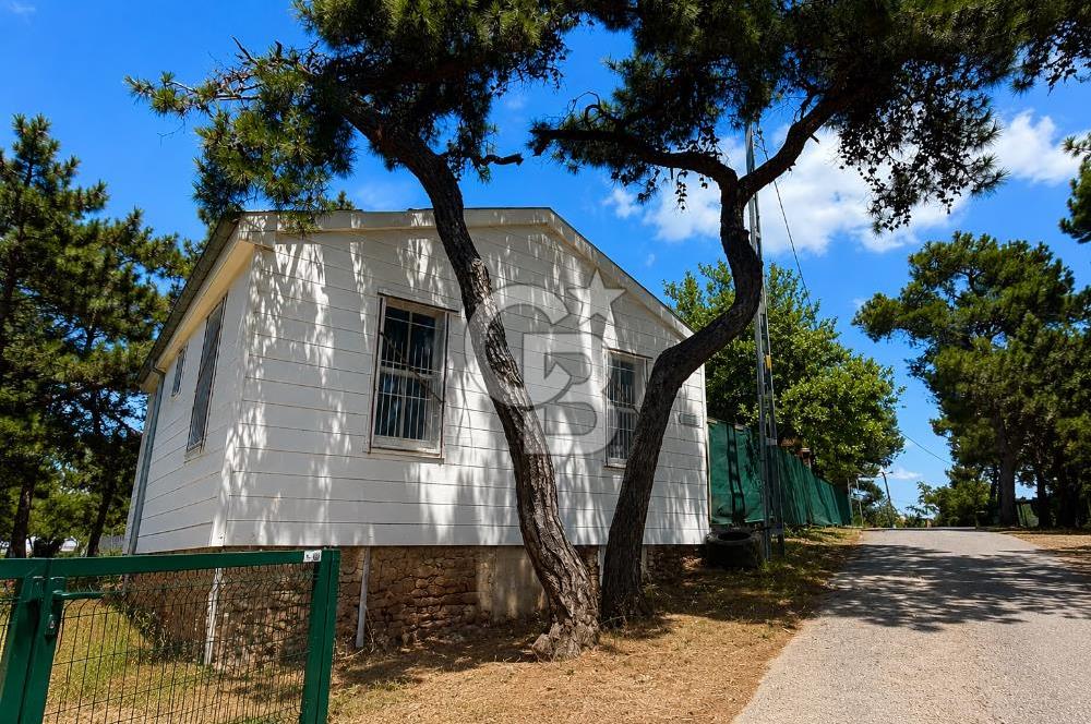 BÜYÜKADA'DA DENİZ VE ORMAN MANZARALI 2. DERECE TARİHİ ESER KÖŞK