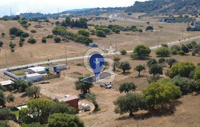 ÇAKMAKLI'DA 255 m² HİSSELİ TARLA