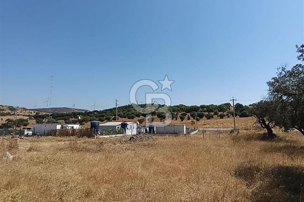 ÇAKMAKLI'DA 255 m² HİSSELİ TARLA