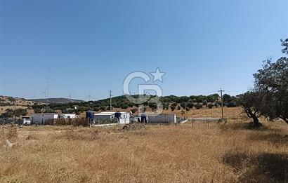 ÇAKMAKLI'DA 255 m² HİSSELİ TARLA