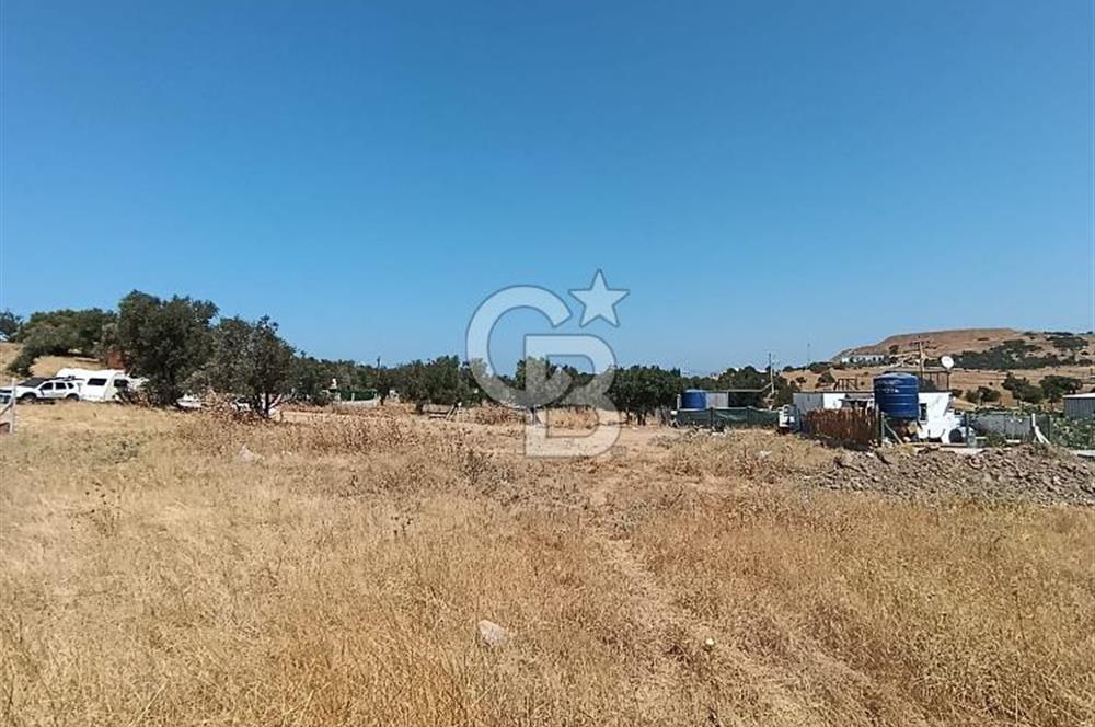 ÇAKMAKLI'DA 255 m² HİSSELİ TARLA