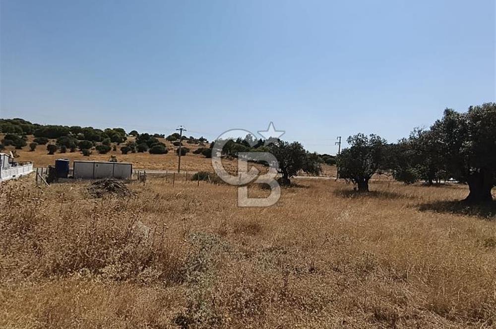 ÇAKMAKLI'DA 255 m² HİSSELİ TARLA