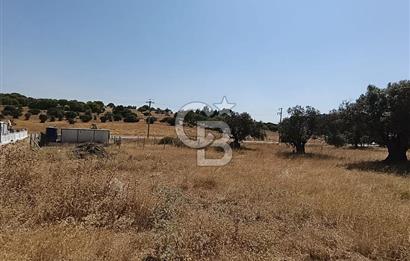 ÇAKMAKLI'DA 255 m² HİSSELİ TARLA