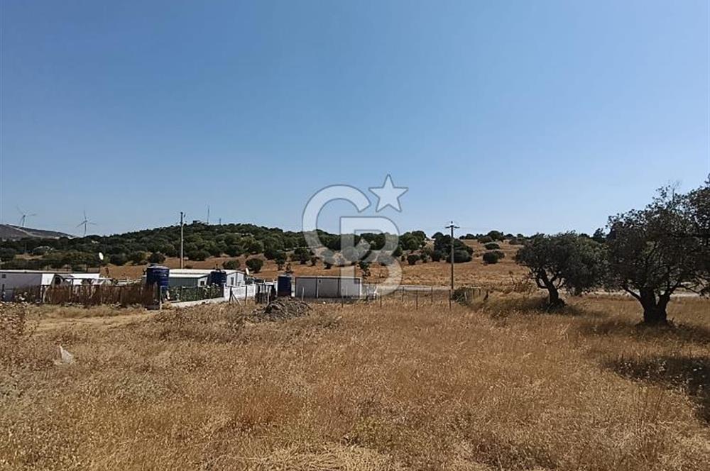 ÇAKMAKLI'DA 255 m² HİSSELİ TARLA