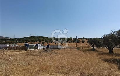 ÇAKMAKLI'DA 255 m² HİSSELİ TARLA