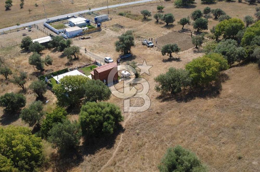 ALİAĞA ÇAKMAKLI KÖYÜ GİRİŞİNDE SATILIK ARSA