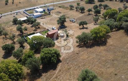 ALİAĞA ÇAKMAKLI KÖYÜ GİRİŞİNDE SATILIK ARSA