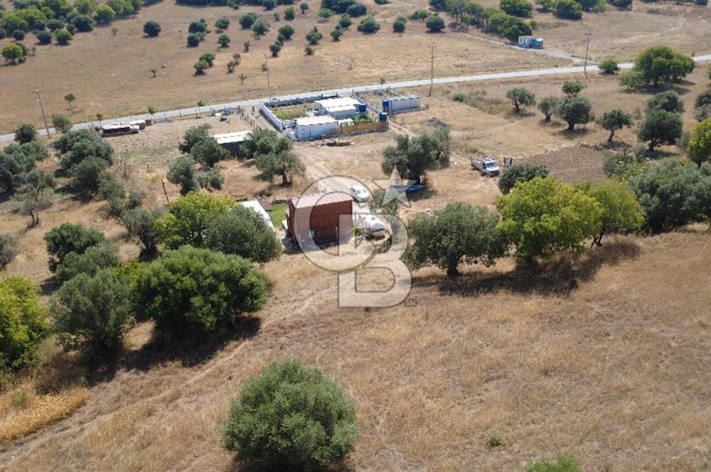 ALİAĞA ÇAKMAKLI KÖYÜ GİRİŞİNDE SATILIK ARSA