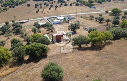 ALİAĞA ÇAKMAKLI KÖYÜ GİRİŞİNDE SATILIK ARSA
