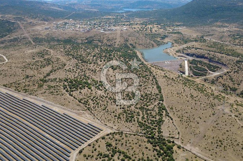 Aliağa Kalabak Mahallesi'nde 89 Dönüm Zeytinli Tarla